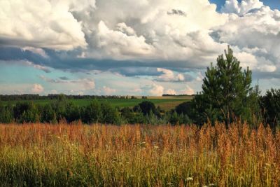 Иван IV (Iv) - Как появилась республика Удмуртия? - shkolazhizni.ru - Россия - Казань - Золотая Орда - республика Удмуртия