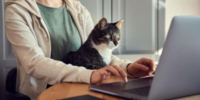 Как выбрать ветклинику для питомца: гайд для владельцев собак и кошек - nashsovetik.ru - Москва