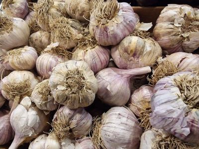 Как хранить лук и чеснок: дачный секрет, чтобы они не прорастали полгода - belnovosti.by