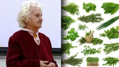 Иван ГРОЗНЫЙ (Грозный) - ЗОЛОТЫЕ СОВЕТЫ СИБИРСКОЙ ТРАВНИЦЫ - liveinternet.ru - Прага - Тюмень