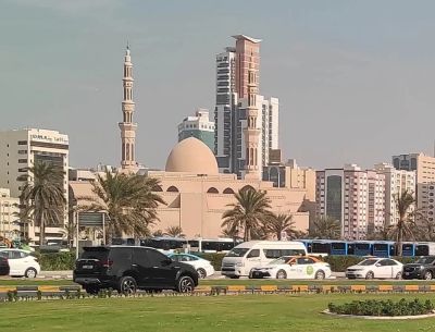 Объединенные Арабские Эмираты. Почему эмират Шарджа экономичнее Дубая? - shkolazhizni.ru - Россия - Сша - Эмираты