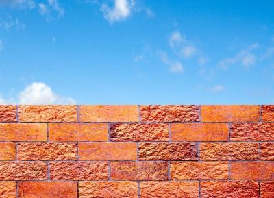 Ласковый кирпич. Что не убивает, делает нас мудрее? - shkolazhizni.ru