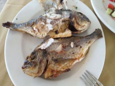 Как приготовить рыбу без запаха на всю квартиру: хитрость с лавровым листом - belnovosti.by