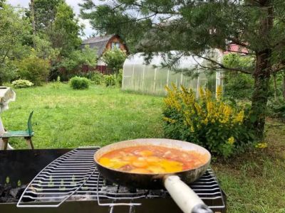 Ни капли жира: чем мыть сковороду, чтобы тефлон не облез, а блестел как новый - belnovosti.by