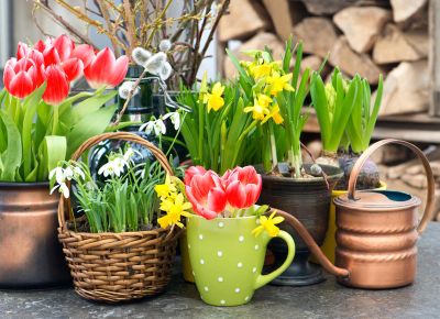 Бывают ли цветы опасны? - shkolazhizni.ru