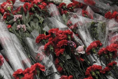 Георгиевская ленточка. Часть 2. Где живёт Победа? - shkolazhizni.ru - Германия - Москва