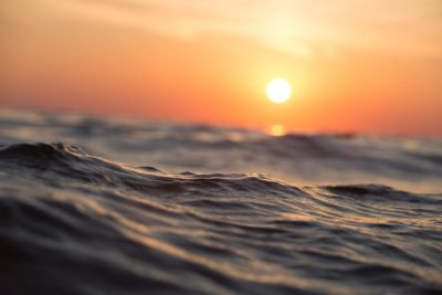 Где находится Саргассово море и чем оно уникально? - shkolazhizni.ru - Франция - Индия