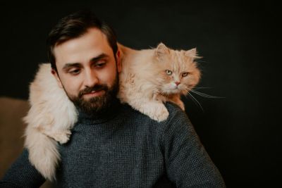 Как уберечь себя от гриппа и сохранить жизнь своей кошке? - shkolazhizni.ru - Сша